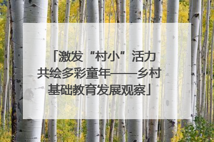 激发“村小”活力 共绘多彩童年——乡村基础教育发展观察